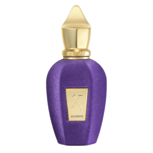 XERJOFF ACCENTO 100 ML Without Box